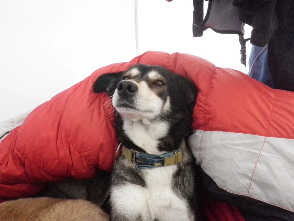 Klicka för att förstora