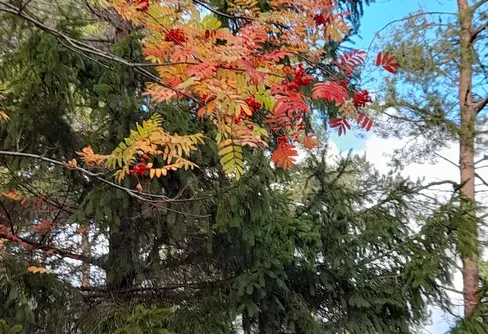 Lökholmen, Geta, Åland