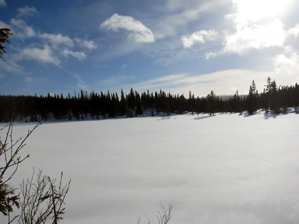 Klicka för att förstora