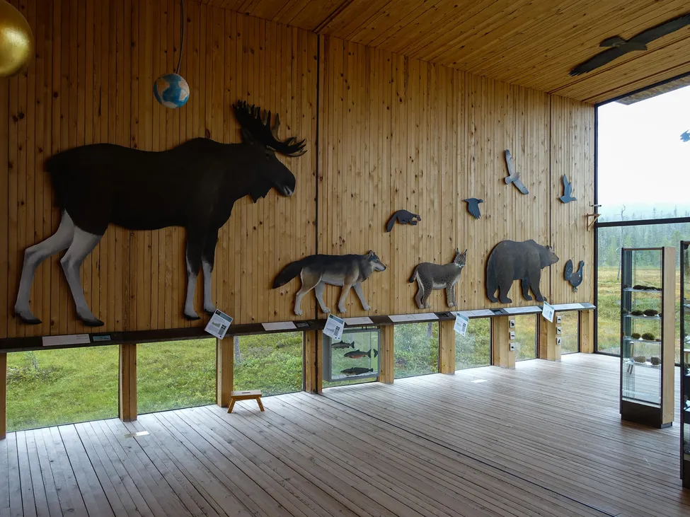 Klicka för att förstora