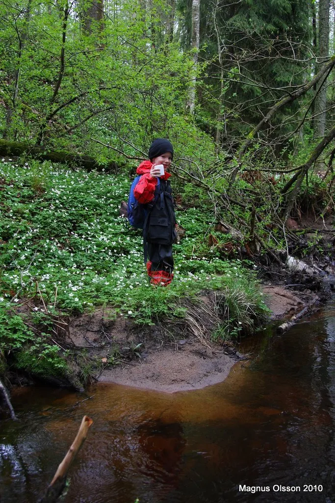 Klicka för att förstora