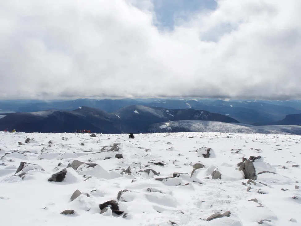 Klicka för att förstora