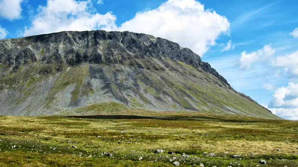 Klicka för att förstora