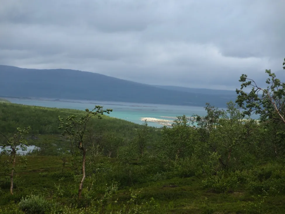 Klicka för att förstora