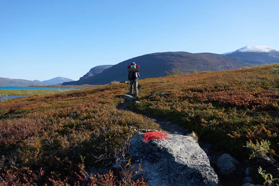 Klicka för att förstora