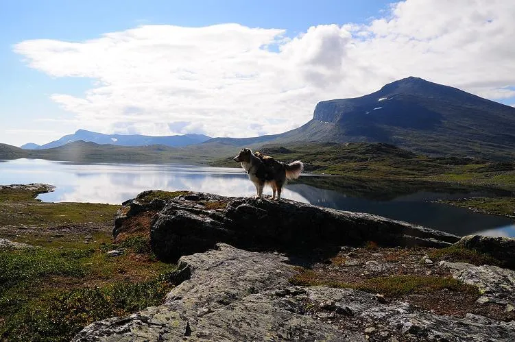 Klicka för att förstora