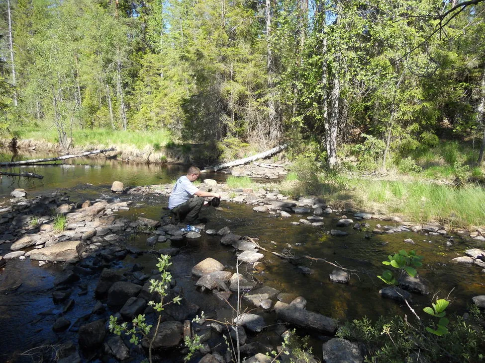Klicka för att förstora