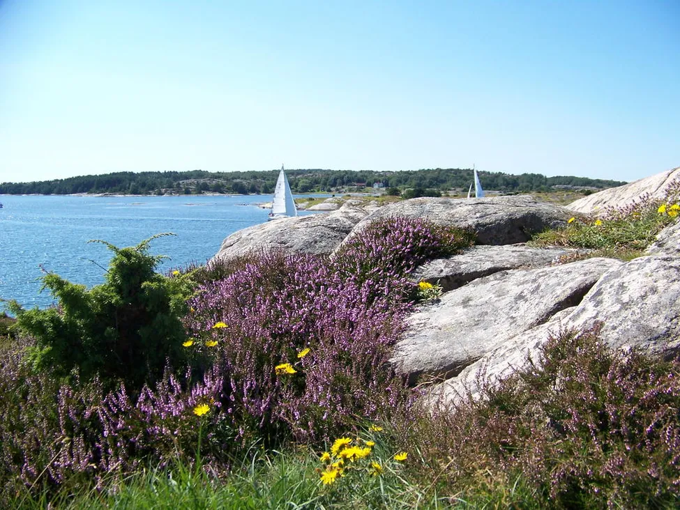 Klicka för att förstora