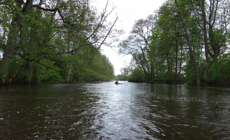 Klicka för att förstora