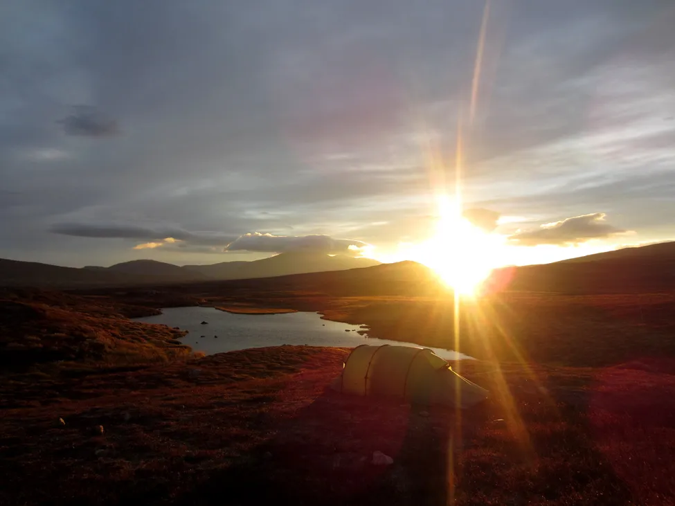 Klicka för att förstora