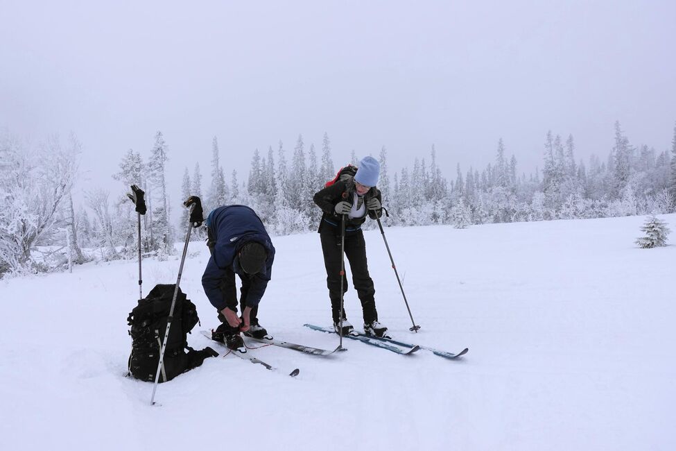 Klicka för att förstora