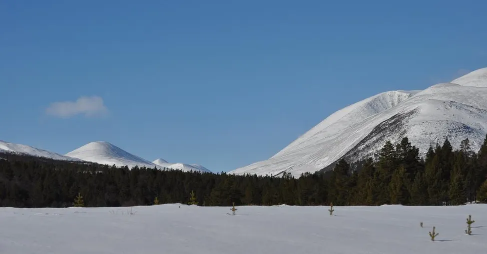 Klicka för att förstora