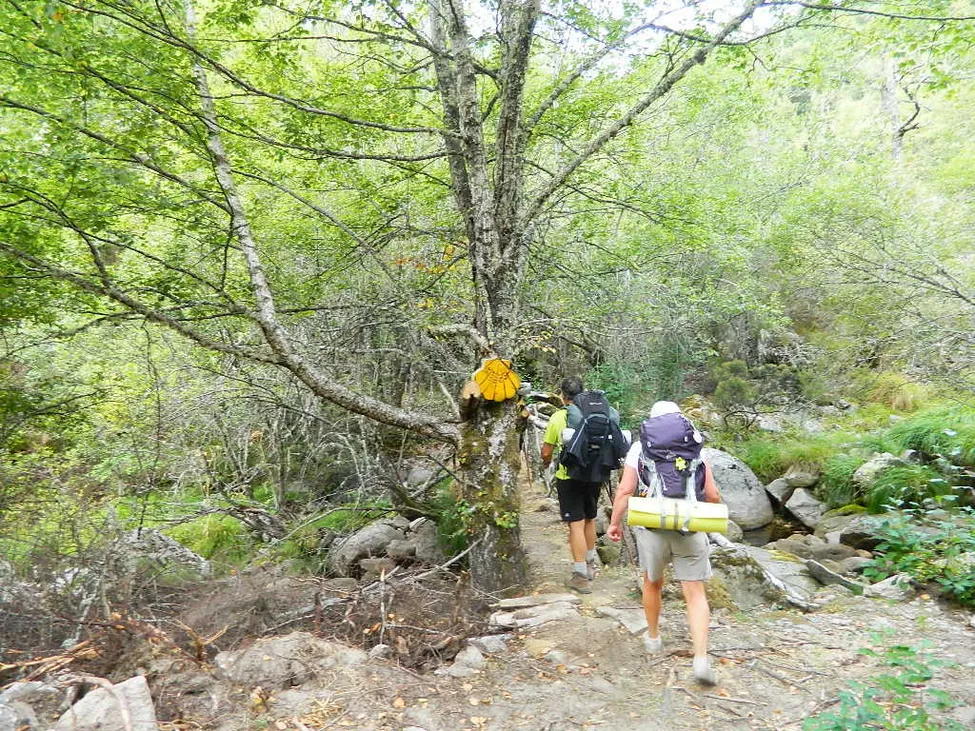 Klicka för att förstora