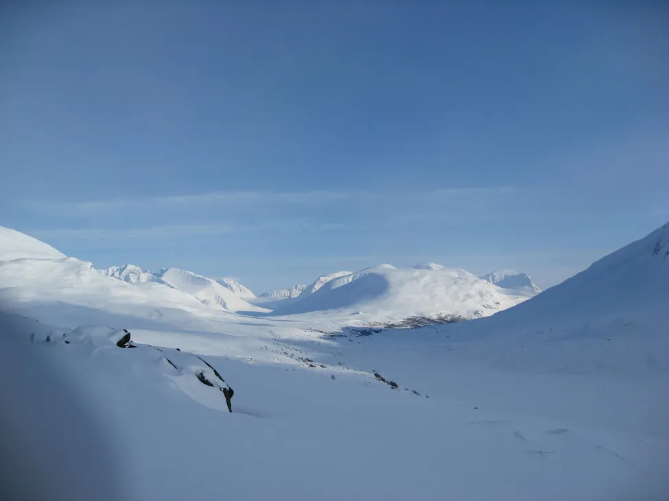 Klicka för att förstora