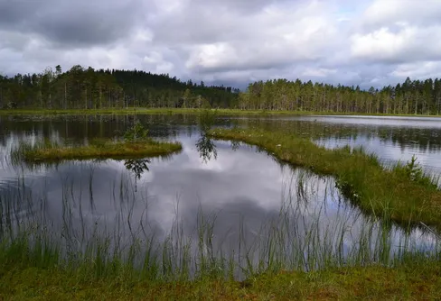 Grossjöbergets naturreservat