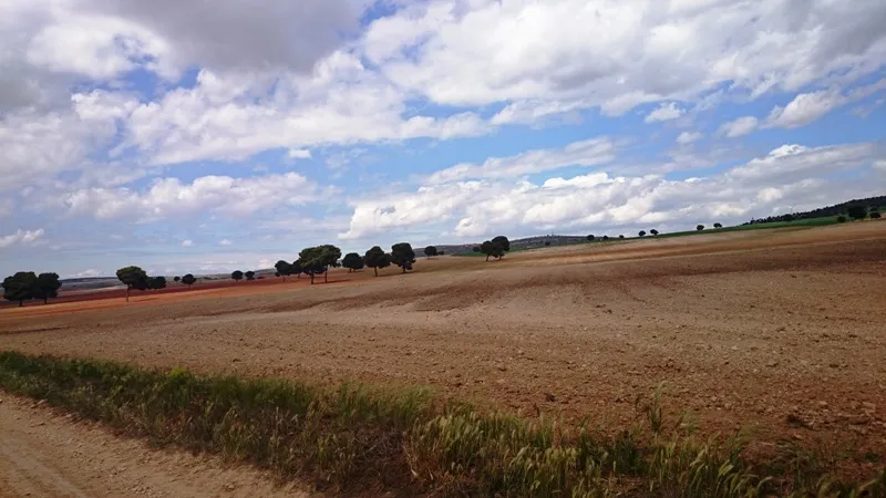 Klicka för att förstora