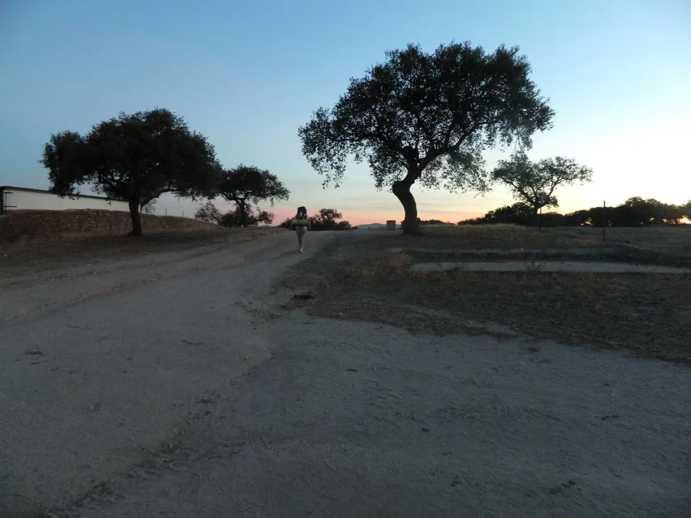 Klicka för att förstora