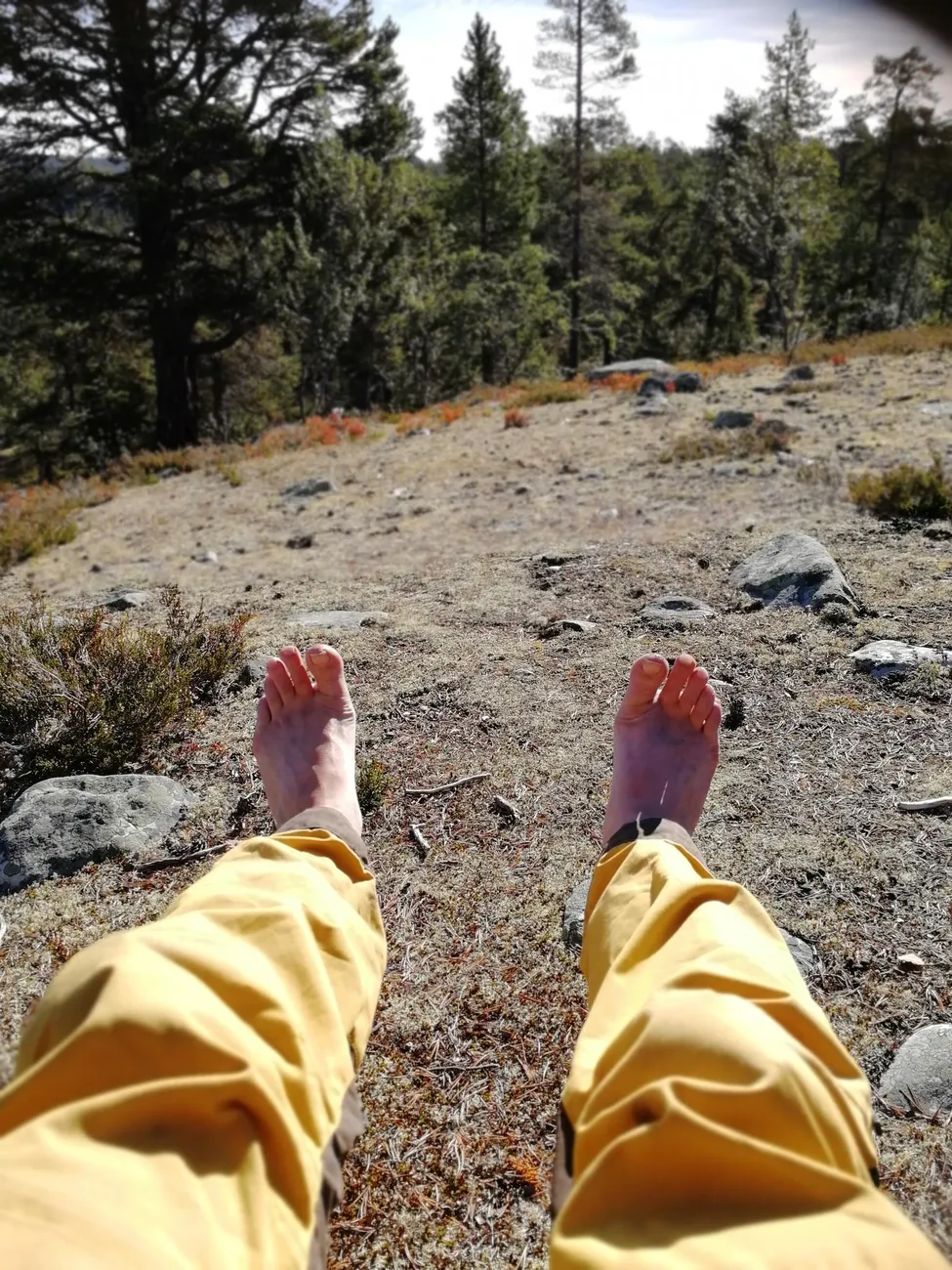 Klicka för att förstora