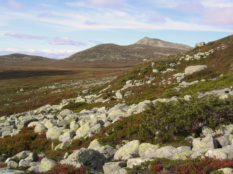 Klicka för att förstora