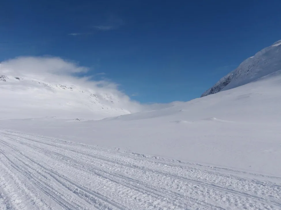 Klicka för att förstora