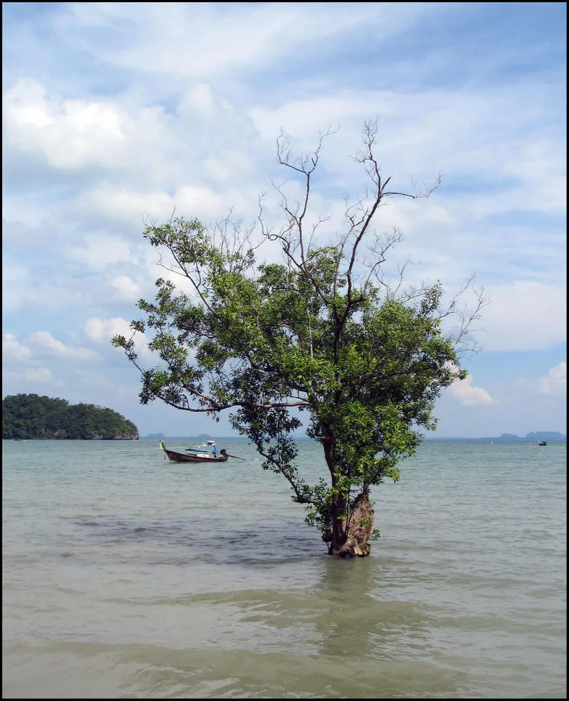 Klicka för att förstora