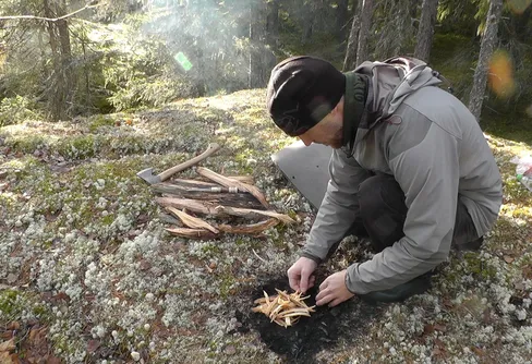 Dagstur i senhöstskogen