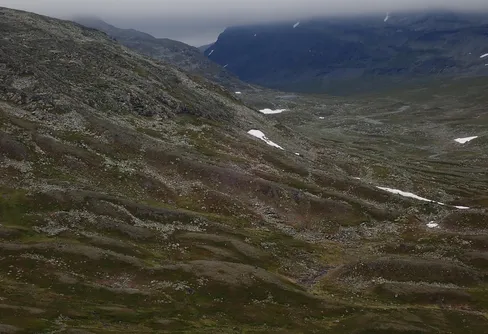 Dörrvind eller charterinvasion coronasommaren 2020, del 2