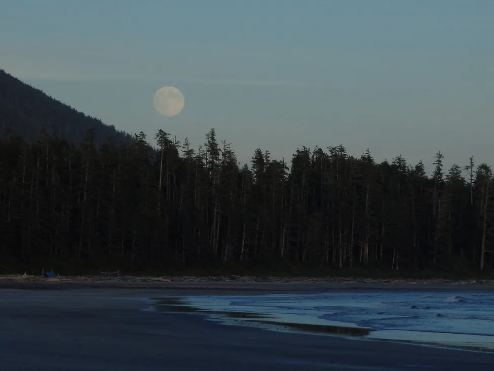 Klicka för att förstora