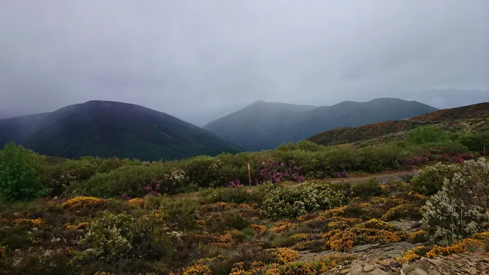 Klicka för att förstora