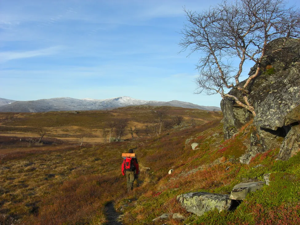 Klicka för att förstora