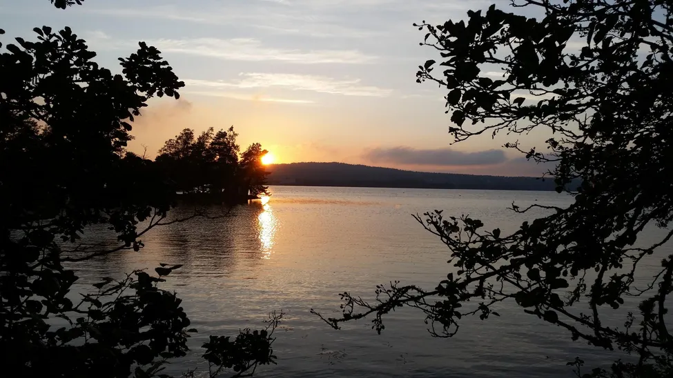 Klicka för att förstora