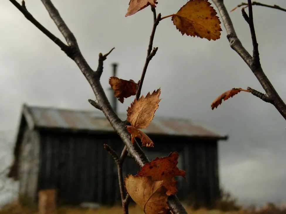 Klicka för att förstora