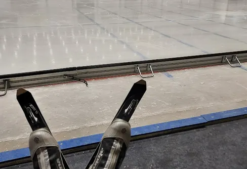 Långfärdsskrdskor och silverleden