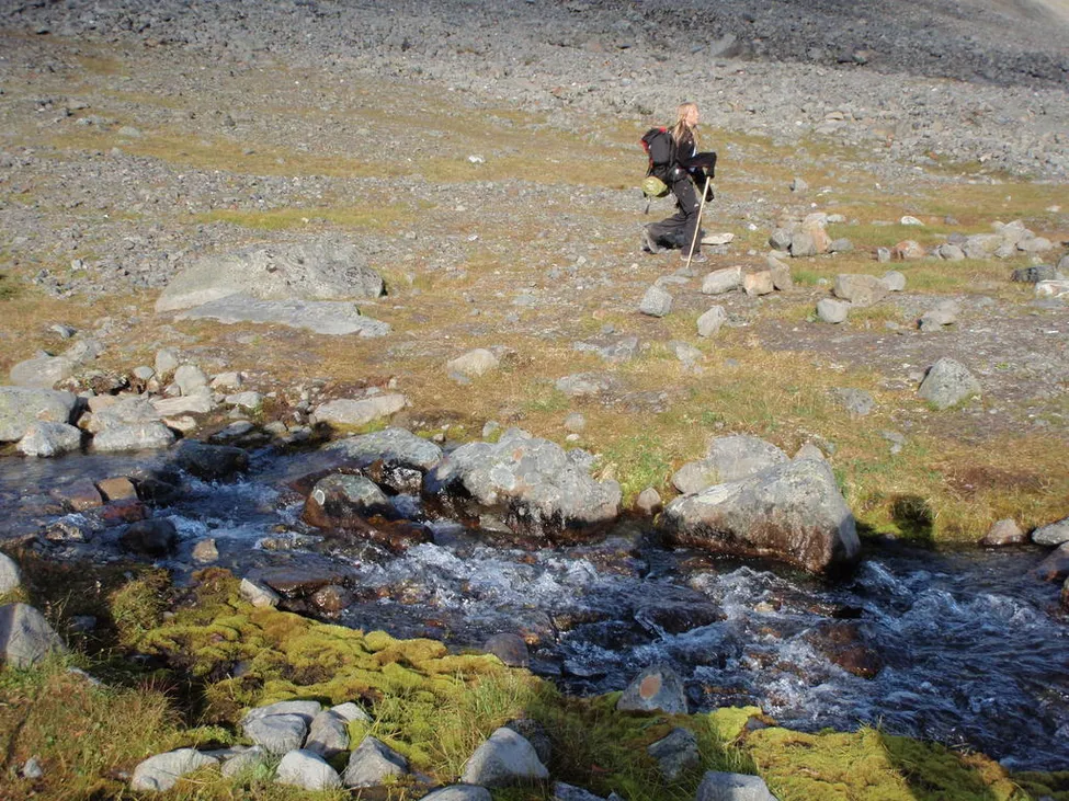 Klicka för att förstora