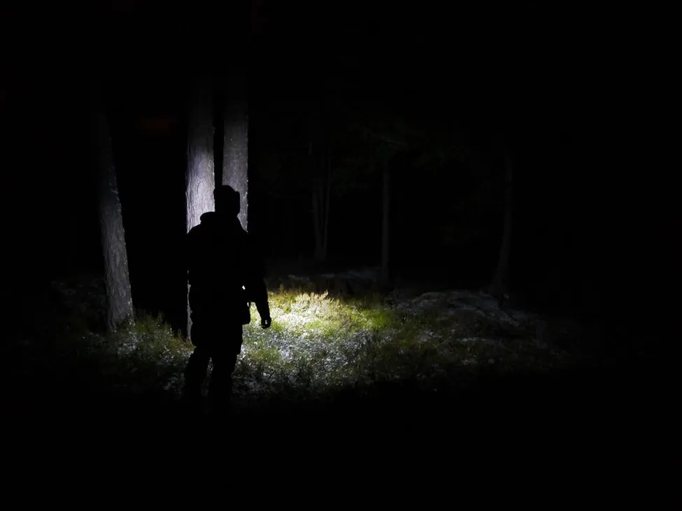 Klicka för att förstora