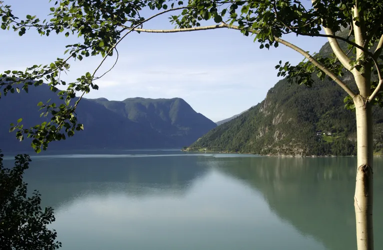 Klicka för att förstora