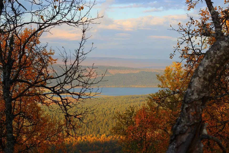 Klicka för att förstora