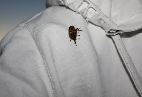 Behöver hjälp med denna undran!