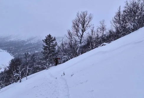 Utförs- och turåkning vid Jakobshöjden 260102