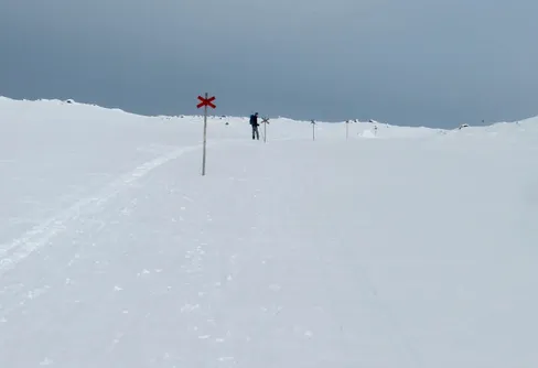 Första Vita Bandaren har startat!