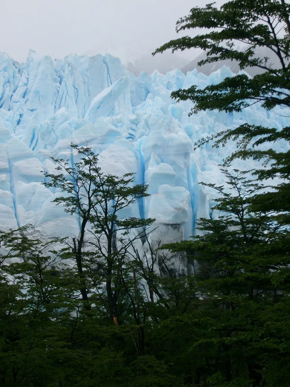 Klicka för att förstora
