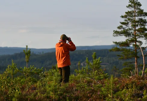 Naturvårdsverket satsar på allemansrätten