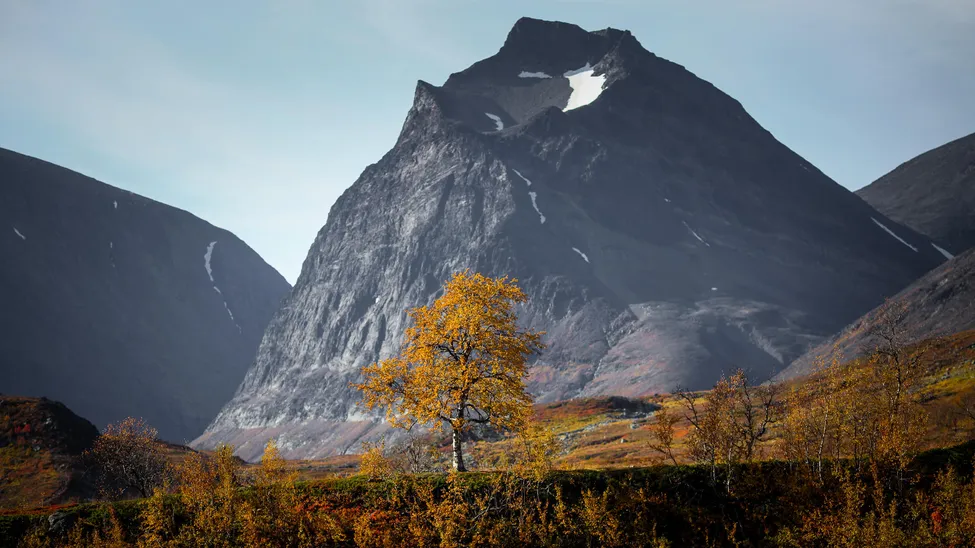 Klicka för att förstora