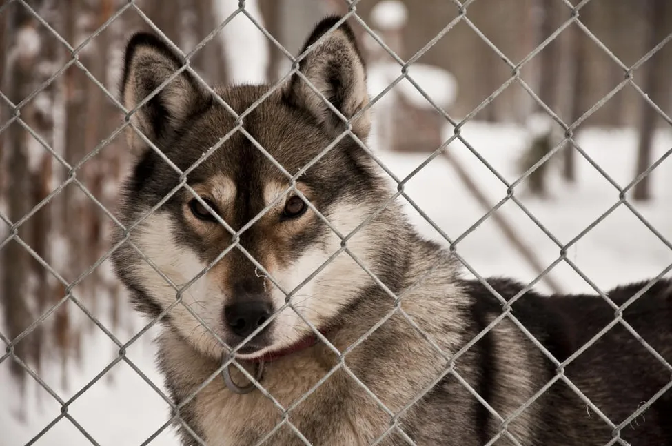 Klicka för att förstora