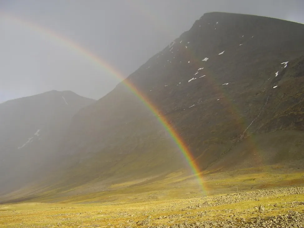 Klicka för att förstora