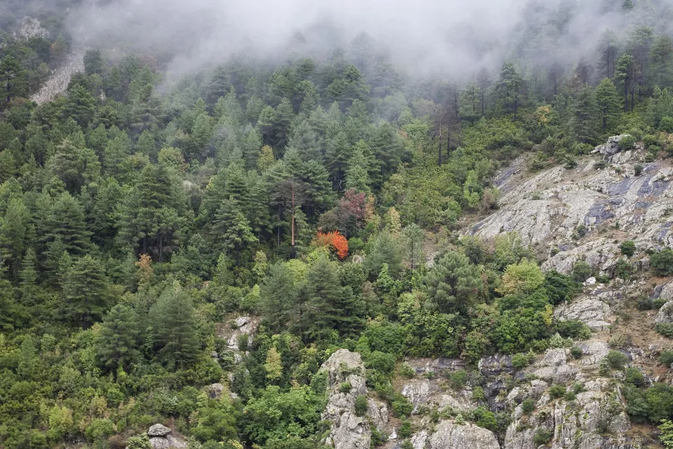 Klicka för att förstora