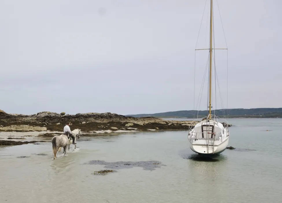 Klicka för att förstora