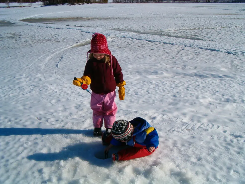 Klicka för att förstora