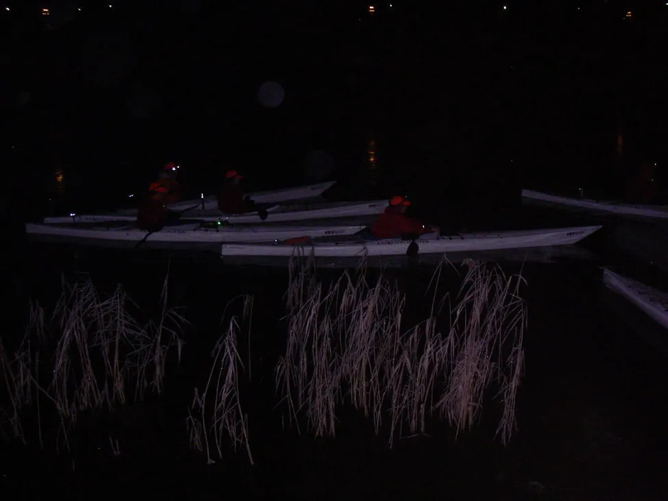 Klicka för att förstora