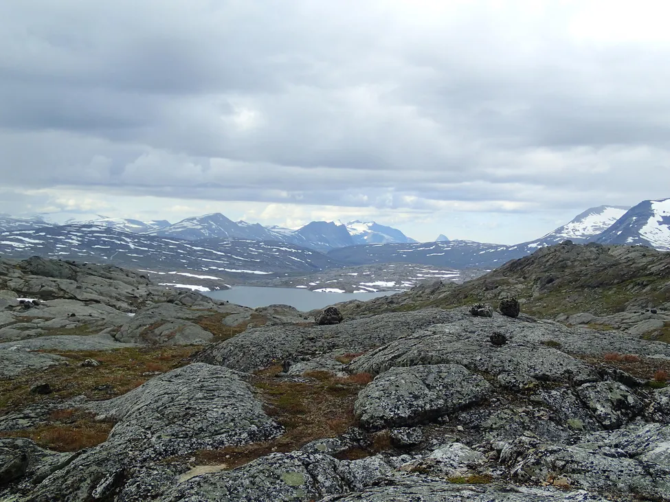 Klicka för att förstora